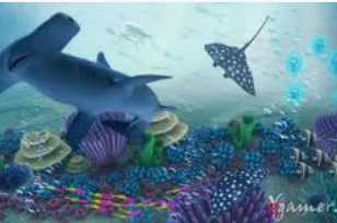 JDB巨额大奖视频2024最新版